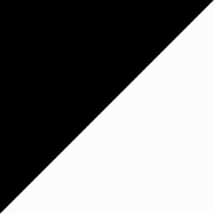 Black/White
