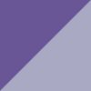 Purple/Fuscia
