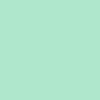 Arctic Green/White