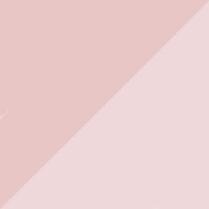 Red Stardust/Pink Oxford