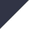 Navy/White