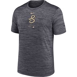 Nike Men's Arizona Diamondbacks 2024 City Connect Authentic Collection Velocity T-Shirt
