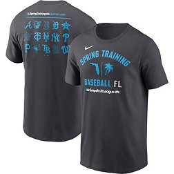 Nike Men's Grapefruit League Black Spring Training T-Shirt