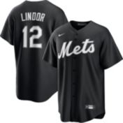 Nike Mets Senga 34 ジャージ Mサイズ Nike Men's New York Mets Kodai Senga #34 Royal Cool Base