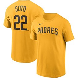 Nike Youth San Diego Padres 2023 City Connect Juan Soto #22