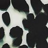 Sea Glass