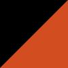 Cincinnati Bengals