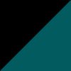 Jacksonville Jaguars