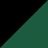 New York Jets