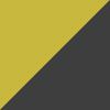 Gold/Black