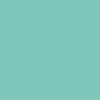 Mint/Black/White