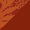 Drk Russet/Drkrusset/Wht