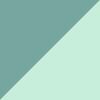 Cannon/Mint Foam