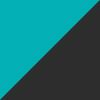 Black/Teal
