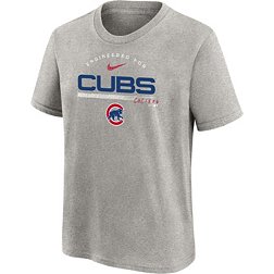 Nike Youth Chicago Cubs Gray Team Engineered T-Shirt