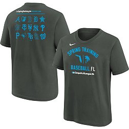 Nike Youth Grapefruit League Black Spring Training T-Shirt