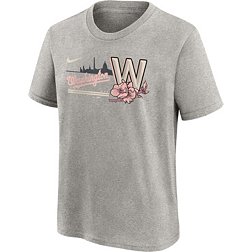 Nike MLB Washington Nationals City Connect Men's Short Sleeve Baseball Shirt  Gray T770-WTCC-WTL-CC4
