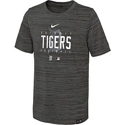Nike Youth Detroit Tigers Gray Velocity Practice T-Shirt