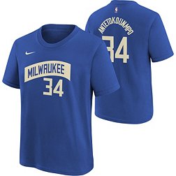 Nike Youth 2023-24 City Edition Milwaukee Bucks Giannis Antetokounmpo #34 Royal T-Shirt