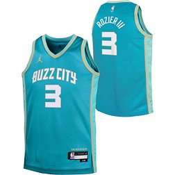 Jordan Youth 2023-24 City Edition Charlotte Hornets Terry Rozier #3 Teal Swingman Jersey