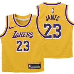 Nike Basketball NBA LA Lakers unisex Lebron James essential graphic t-shirt  in white and purple