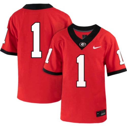 Nike Men's Georgia Bulldogs Nick Chubb #27 Red Dri-FIT Replica