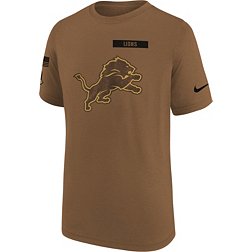 Nike Youth Detroit Lions 2023 Salute to Service Brown T-Shirt