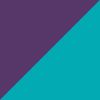 Volt/Purple