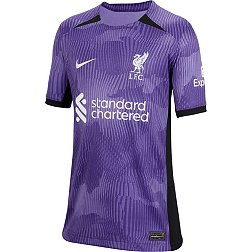 Nike Youth Liverpool FC 2023 Third Replica Jersey