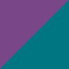 Volt/Purple