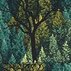Backcountree