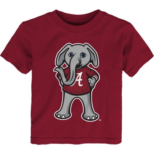 Nike Toddler Atlanta Braves Ronald Acuña #13 Red T-Shirt