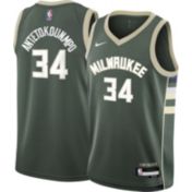 Nike Youth Milwaukee Bucks Giannis Antetokounmpo #34 Green
