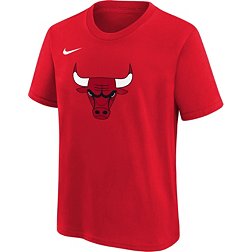 Nike Youth Chicago Bulls Essential Logo T-Shirt
