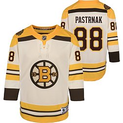 Men's Boston Bruins David Pastrnak adidas White Reverse Retro 2.0 Authentic  Player Jersey