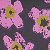 Pansy