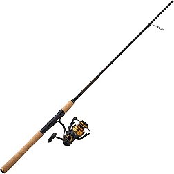 PENN Passion Spinning Reel and Fishing Rod  - .com