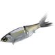 Gizzard Shad