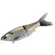 Threadfin