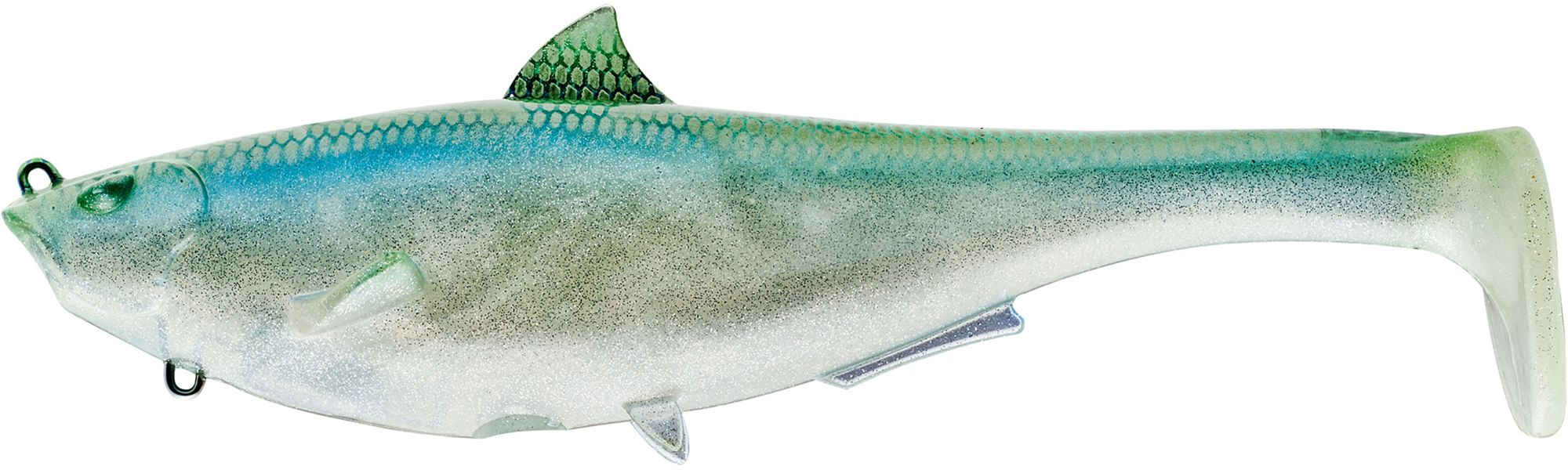 Blue Back Herring