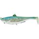 Blue Back Herring