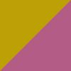 Rainbow Trout