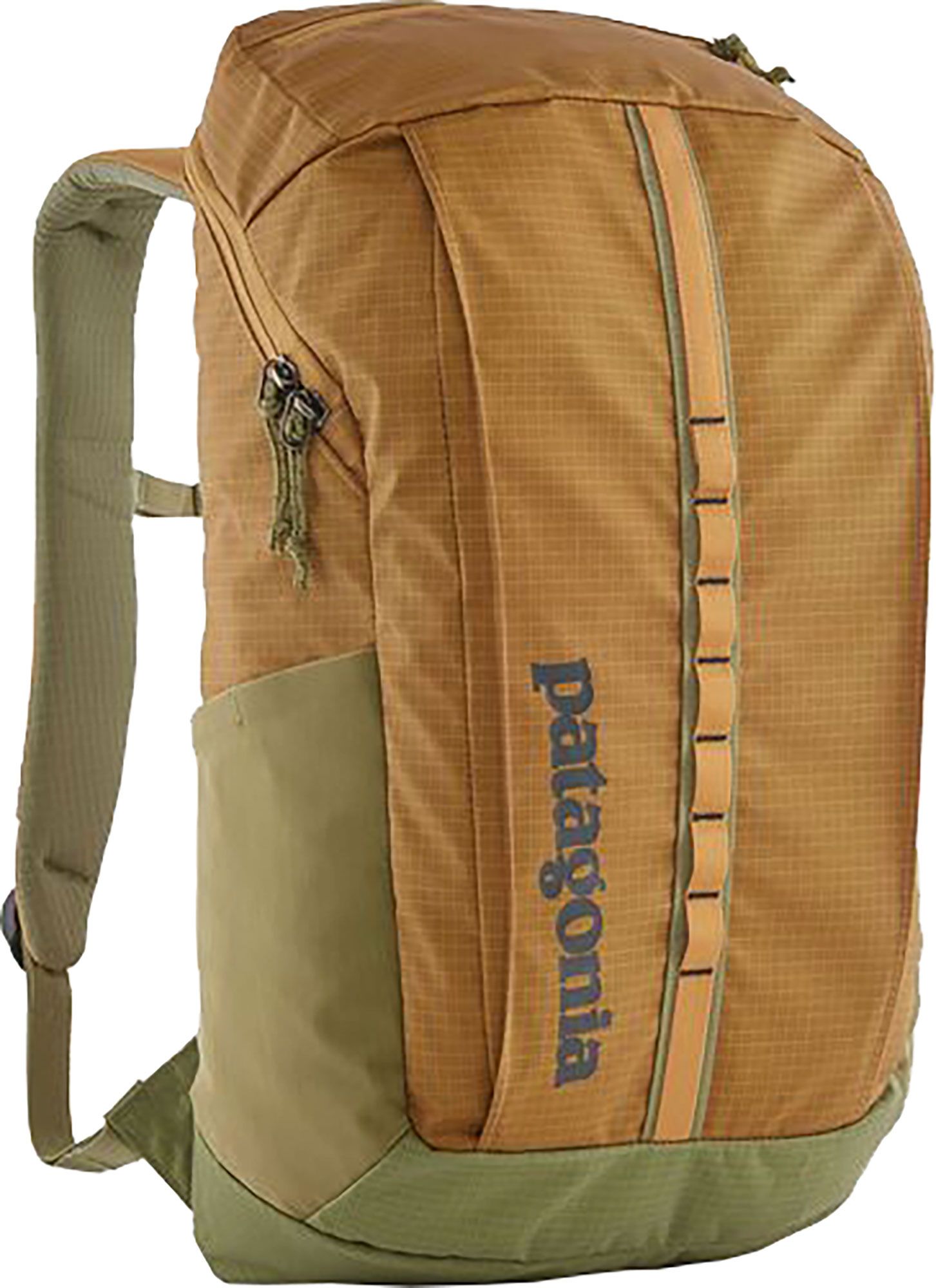 Patagonia 25L Black Hole Pack