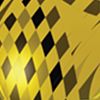 Yellow/Black