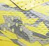 Grey/Yellow