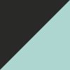 Black/Mint