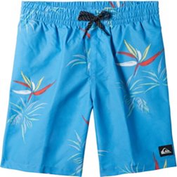 Quiksilver Youth Everyday Mix Volley Shorts