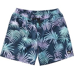 Quiksilver Men's D Faded Palm Volley 17NB Boardshorts