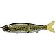 Baby Bass