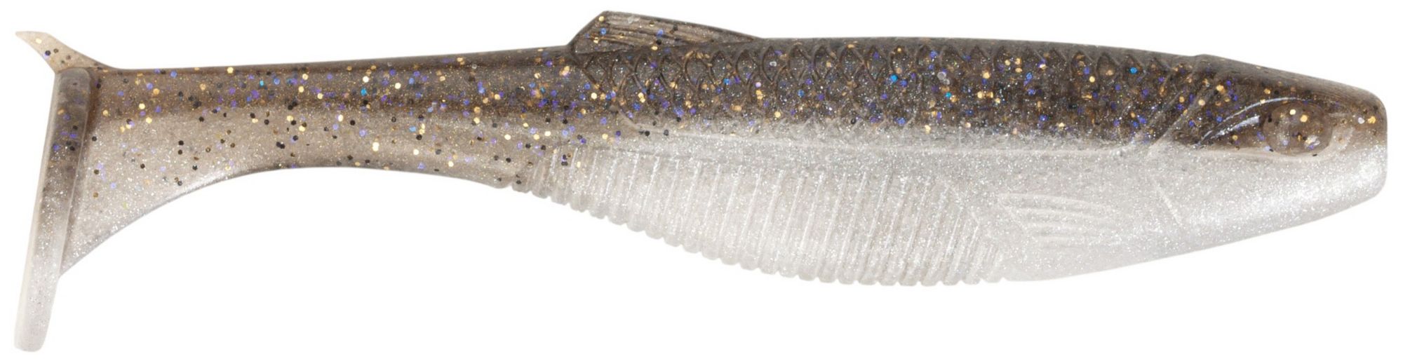 Gizzard Shad